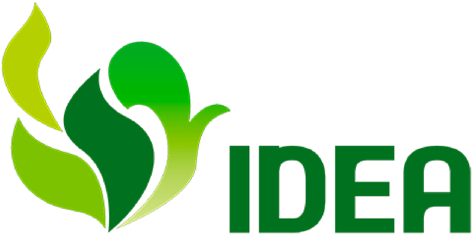 IDEA
